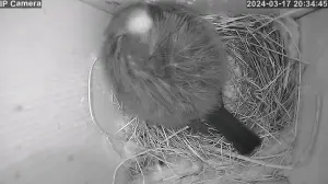 Jacquelien 04 Lekker uitrusten